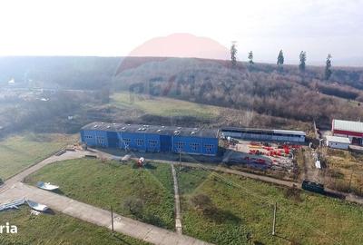 Spațiu comercial, de 700 mp, în Jucu - 3