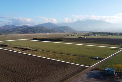 Teren Construcții intravilan de 37930 mp, în Periferie - 1