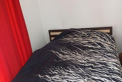 Apartament cu 2 camere, mobilat în Baciu - 2