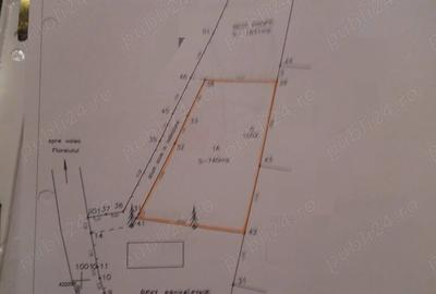 Teren de 740 mp, în Valea Doftanei - 3
