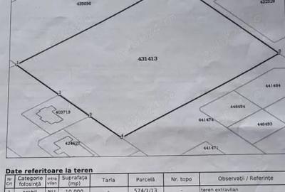 Teren de 10000 mp, în Mehala - 1