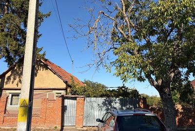 Casă cu 3 camere cu Teren 1173 Mp în Parhida