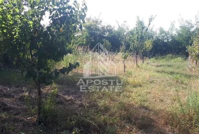 Casă individuală cu 3 camere cu Canalizare în Central - 7