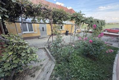 Casă cu 2 camere cu Teren 80 Mp în Central