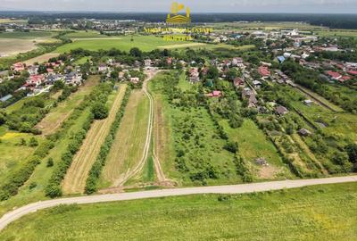Teren Construcții intravilan de 3114 mp, în Ciolpani - 7
