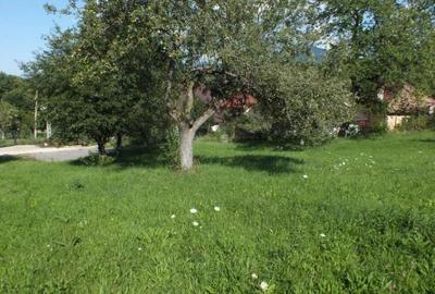 Teren de 1364 mp, în Sohodol
