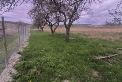 Teren de 48000 mp, în Ilișești - 14