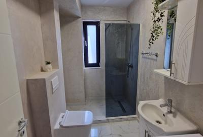 Apartament cu 2 camere semidecomandat în Vișan - 10