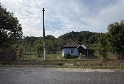 Spațiu comercial, în Sboghițești