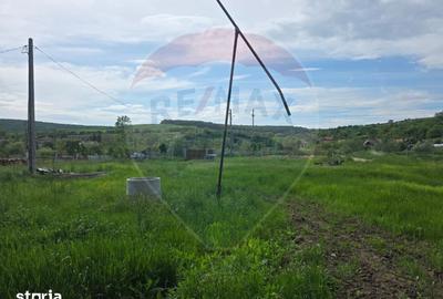 Casă cu 3 camere cu Teren 4234 Mp în Adămuș - 4
