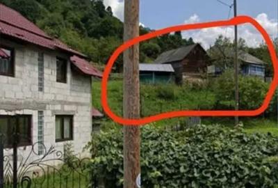 Casă cu 3 camere în Bistra - 3