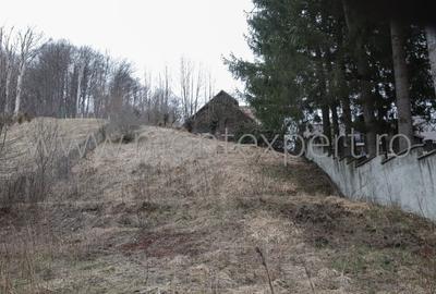 Teren Construcții intravilan de 766 mp, în Central - 2