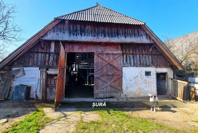 Casă cu 3 camere cu Teren 3724 Mp în Borlești - 16