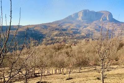 Teren în Buceș - 4