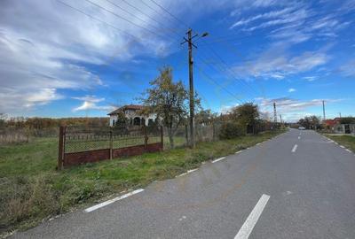 Teren Construcții intravilan de 6975 mp, în Moșoaia - 3