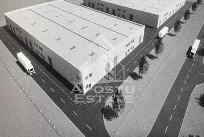 Spațiu comercial, de 523 mp, în Sânandrei - 4