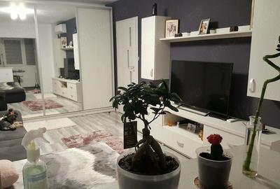 Apartament cu 2 camere semidecomandat în Gorjului