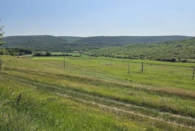 Teren de 7200 mp, în Crețești - 2