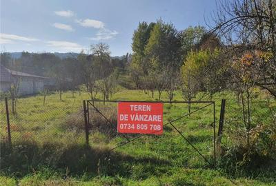 Teren de 2300 mp, în Dragodănești - 4