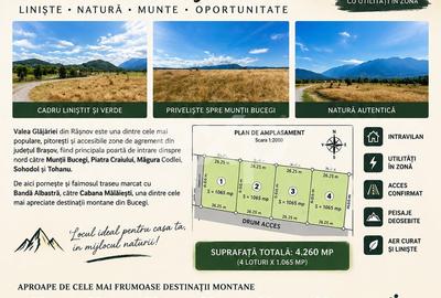 Teren Construcții intravilan de 4260 mp, în Glăjărie