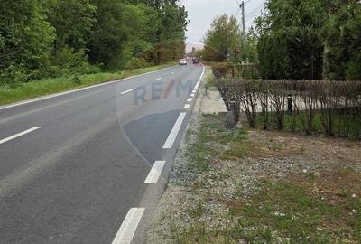Spațiu comercial, în Bolintin-Deal