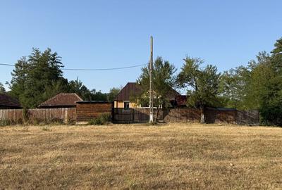 Casă cu 3 camere în Seliștea
