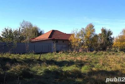 Teren în Șimian - 3
