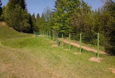 Teren de 12500 mp, în Lunca - 2