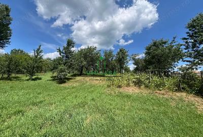Teren de 3200 mp, în Dăești - 3