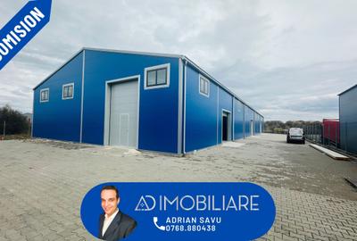 Spațiu industrial, de 1,000 mp, în Narciselor
