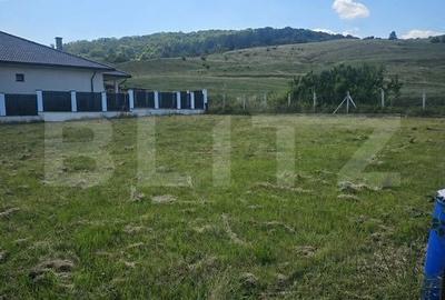 Teren de 930 mp, în Viișoara
