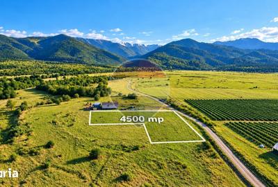Teren de 4500 mp, în Recea