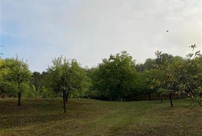 Teren Construcții intravilan de 1200 mp, în Fughiu