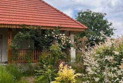 Casă cu 4 camere cu Teren 1415 Mp în Drajna - 3