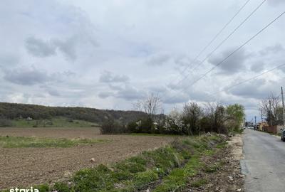 Teren de 2547 mp, în Vălenii de Munte - 5