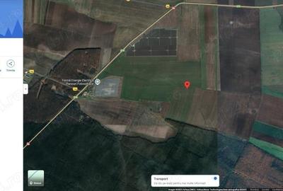 Teren de 20000 mp, în Podari - 1