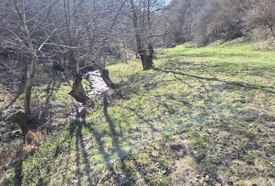 Teren de 2000 mp, în Vale - 3