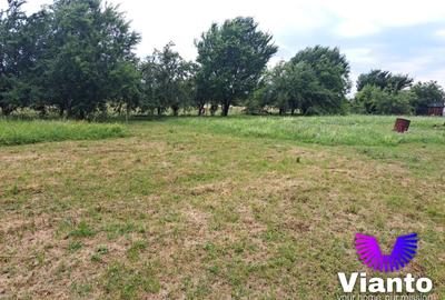 Teren Construcții intravilan de 1100 mp, în Turnișor
