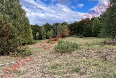 Teren agricol extravilan de 5.5 mp, în Cernat - 3