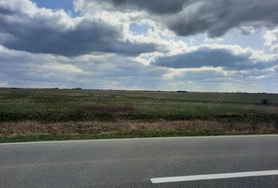 Teren de 13000 mp, în Sânmihaiu Român - 7