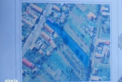 Casă cu 3 camere cu Teren 80 Mp în Diosig - 2