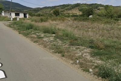 Teren de 6660 mp, în Lăpușnicu Mare - 2
