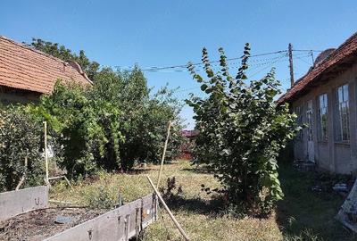 Casă cu Teren 3000 Mp în Racovița