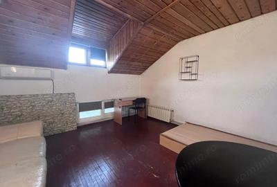 Garsonieră nedecomandată în Micul Dallas - 1