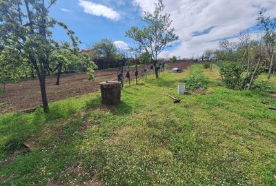 Teren Construcții intravilan de 2691 mp, în Tulucești - 1
