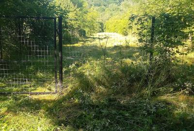 Teren de 4750 mp, în Vâlcănești