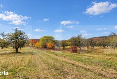 Teren de 1100 mp, în Bodoc