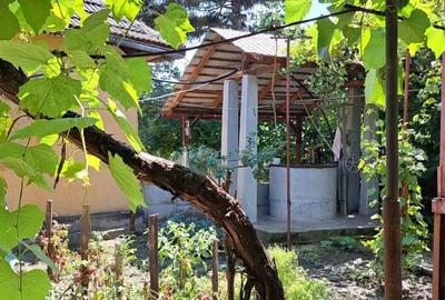 Casă cu 5 camere în Central - 1