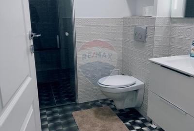 Apartament cu 2 camere decomandat, mobilat în Calea Severinului - 11