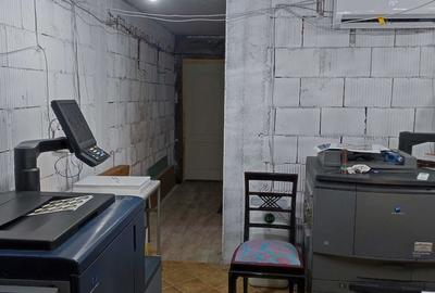 Casă cu 3 camere cu Teren 252 Mp în Bucureștii Noi - 5